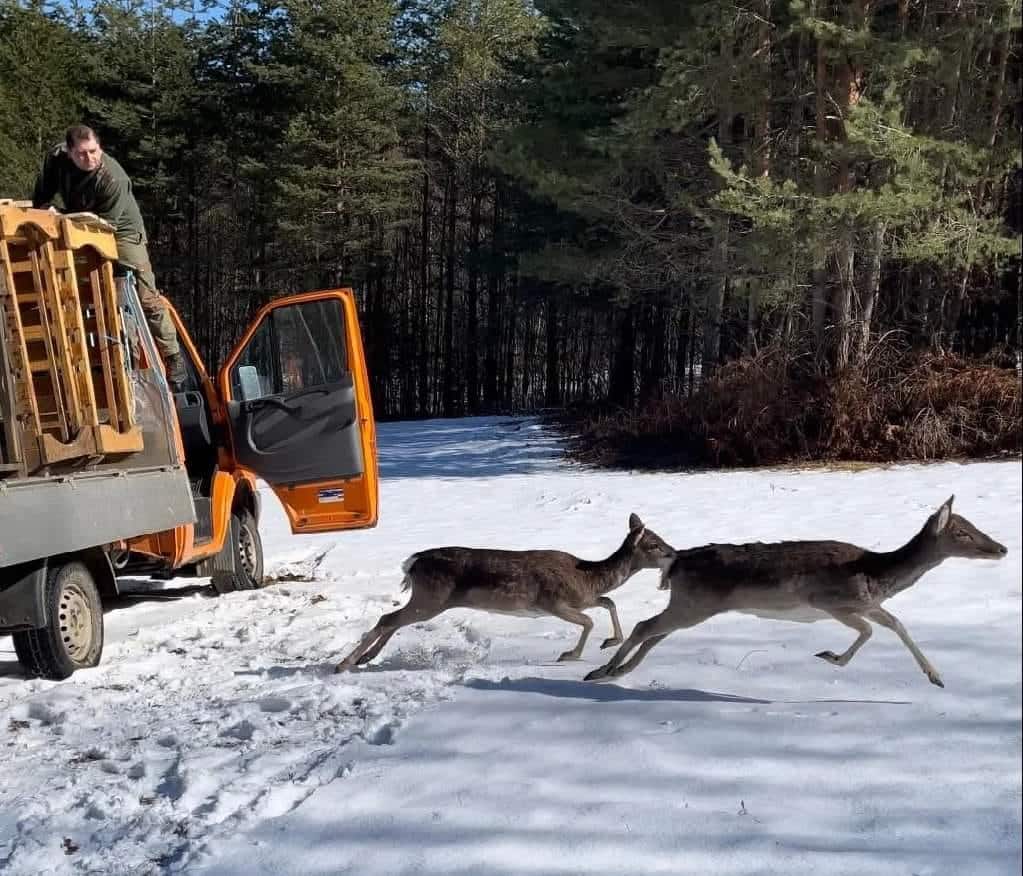 Бившият директор на Изпълнителната агенция по горите ИАГ и бивш