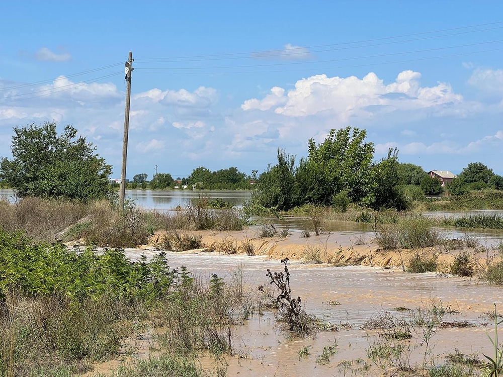Мирчо Петров кмет на село Трилистник отправи остър призив към