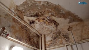  Наводнен апартамент 