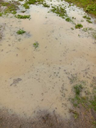 Улица "Дунав" в Сунгурларе