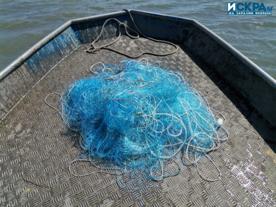 Акция на ИАРА