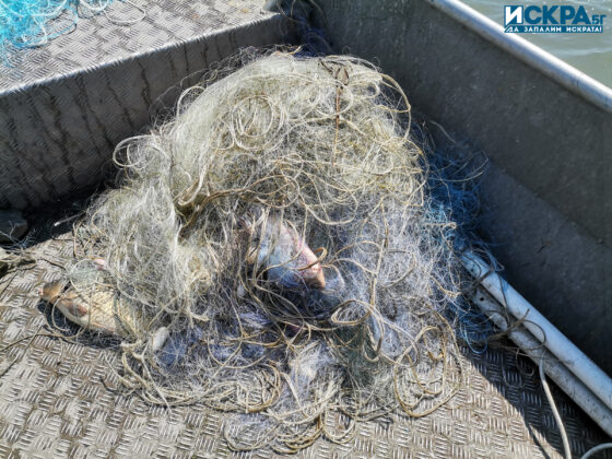 Акция на ИАРА