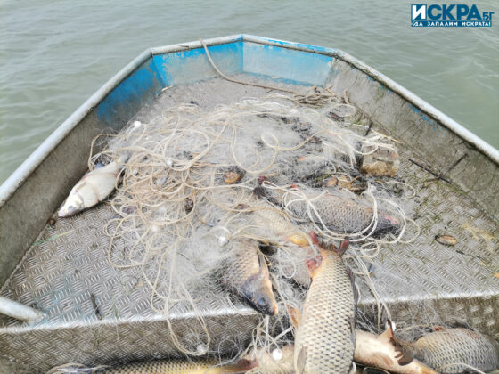 Акция на ИАРА