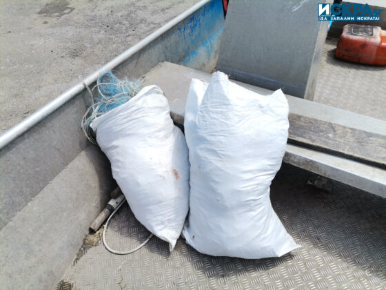 Акция на ИАРА