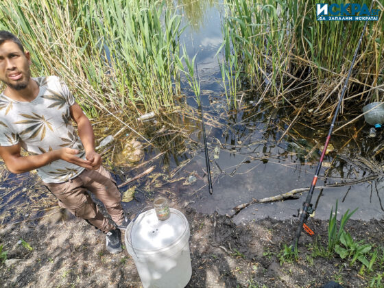 Акция на ИАРА