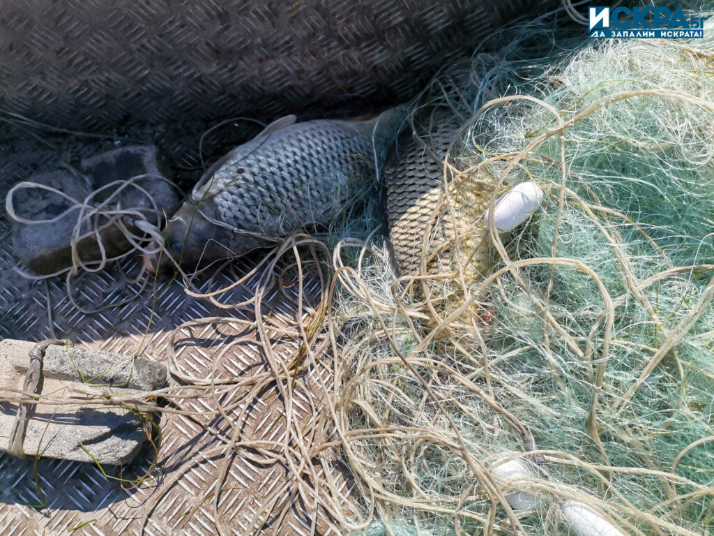 Акция на ИАРА Снимка Искра бг
Служители на Изпълнителната агенция по рибарство