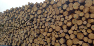 Камион с дърва