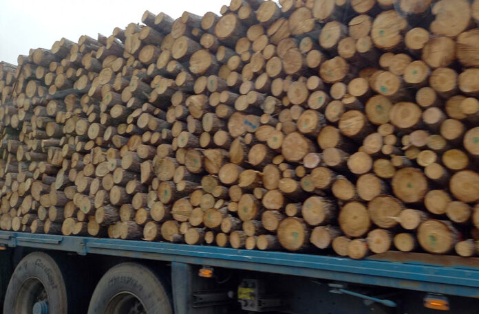 Камион с дърва