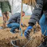 Залесителна акция
