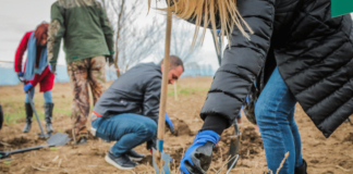 Залесителна акция