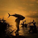 Филипините - риболов.