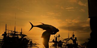 Филипините - риболов.