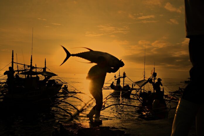 Филипините - риболов.