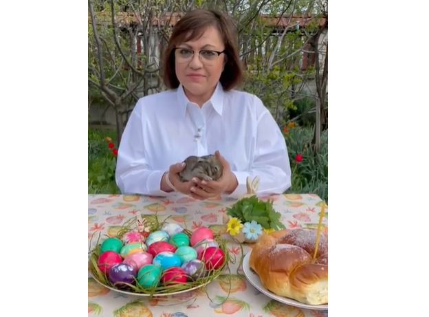 Корнелия Нинова