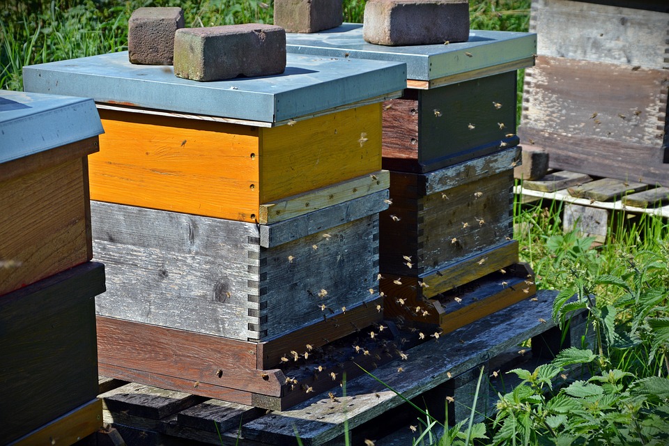 Над 1500 килограма пчелен мед са били унищожени при пожар