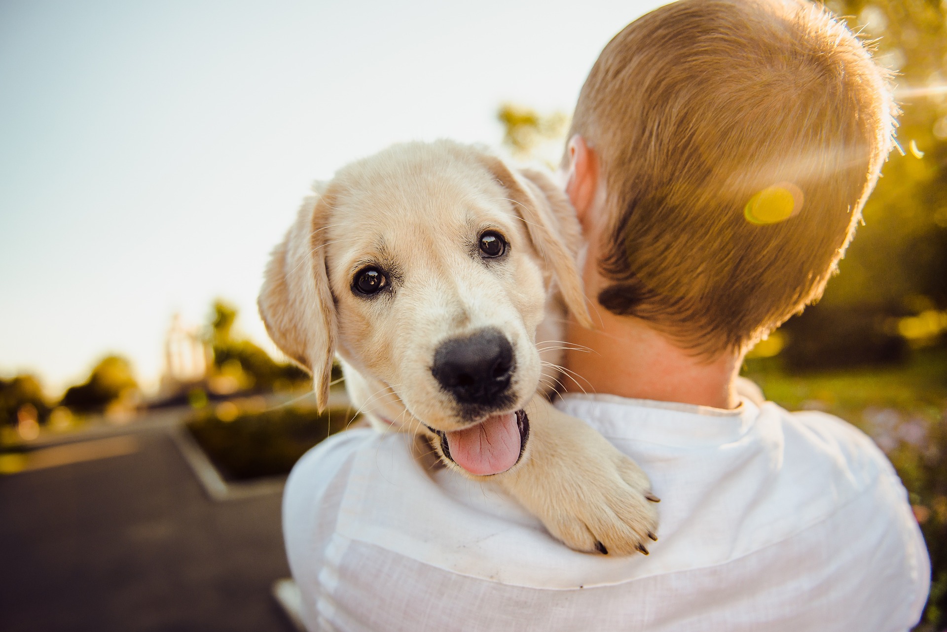 Собствениците на кучета невинаги могат да вземат домашния си любимец