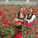 Международен културен фестивал на розата в Китай