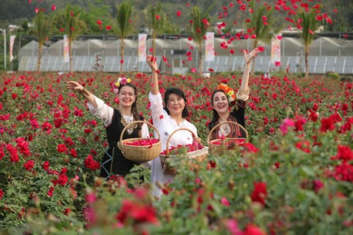 Международен културен фестивал на розата в Китай