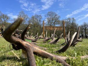 Паднали рога