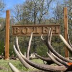 Паднали рога