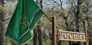 Паднали рога