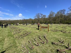 Паднали рога