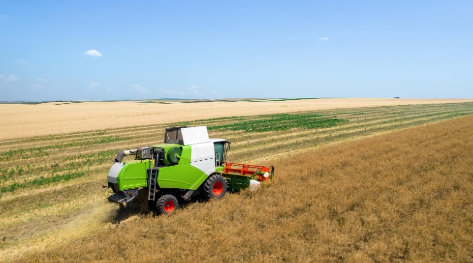 Въведените от Унгария и Полша едностранни забрани за зърно и