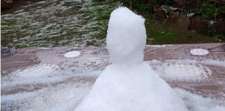 Снежен човек