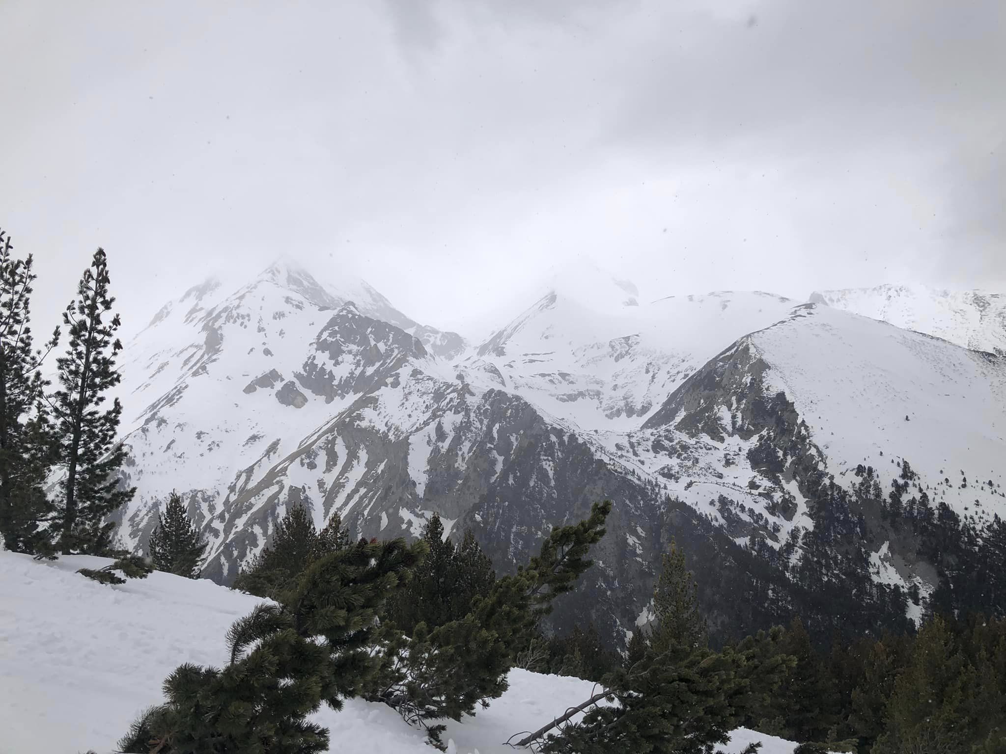 Сняг вали по проходите Превала Пампорово и Рожен в област