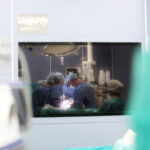 Трансплантация