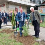 Засаждане на дръвчета