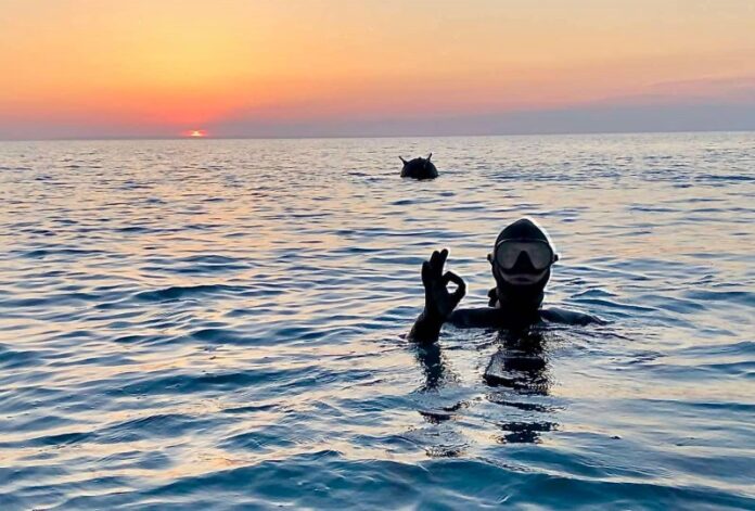 Водлаз-сапьор