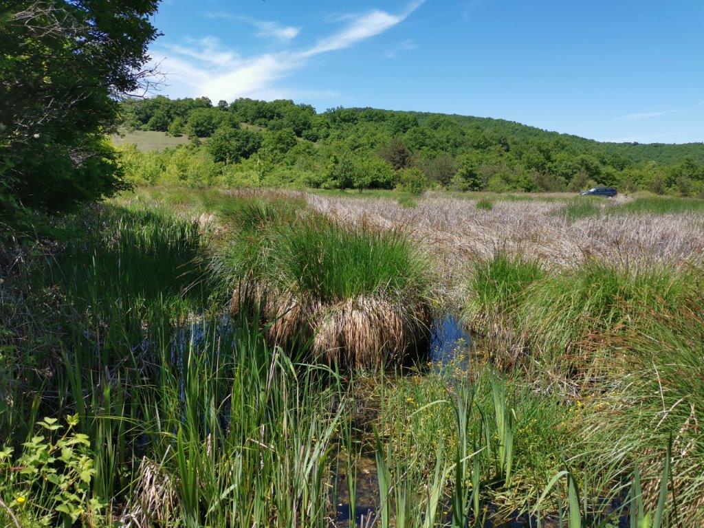 Екоминистърът Росица Карамфилова издаде заповеди за обявяване на 2 нови