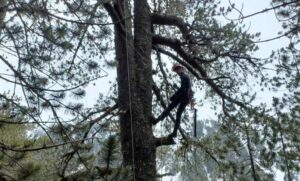 Байкушева мура