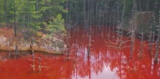 "Червеното езеро"