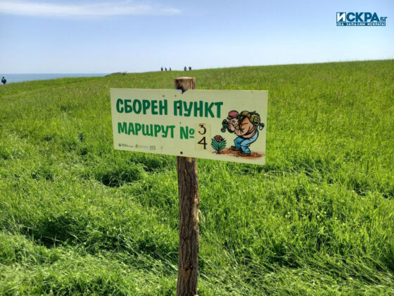 Фестивал на зелениката в Странджа