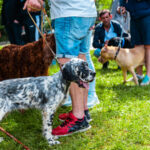 Киноложка изложба