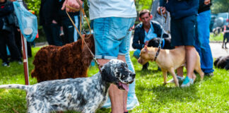 Киноложка изложба