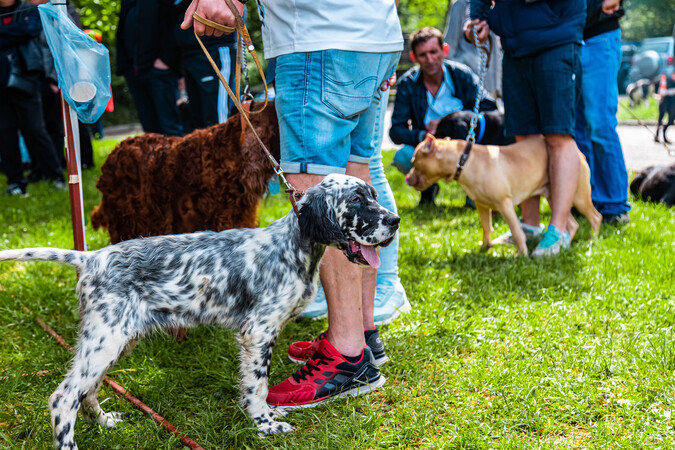 Киноложка изложба ще се проведе по време на съобщиха