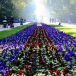 Морска градина