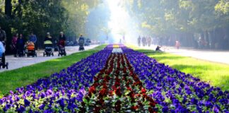 Морска градина