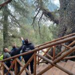 Байкушева мура