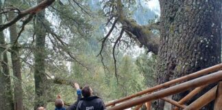 Байкушева мура