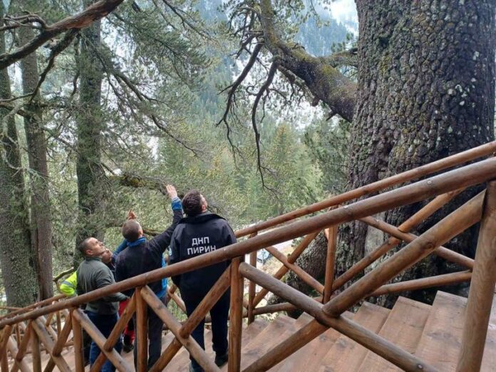 Байкушева мура