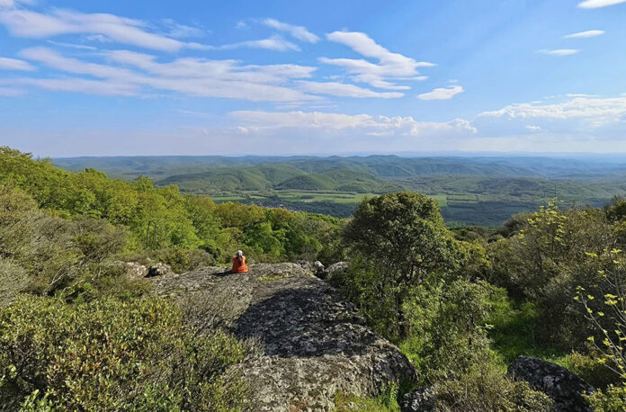 Панорамна гледка от маршрута към връх Папия