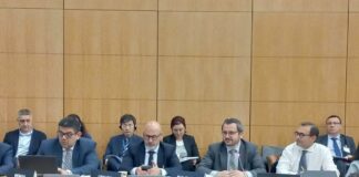 Пленарна сесия