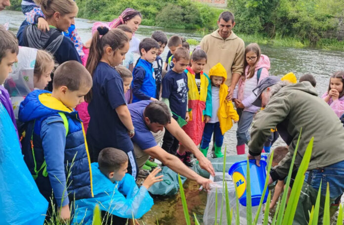 Зелено училище