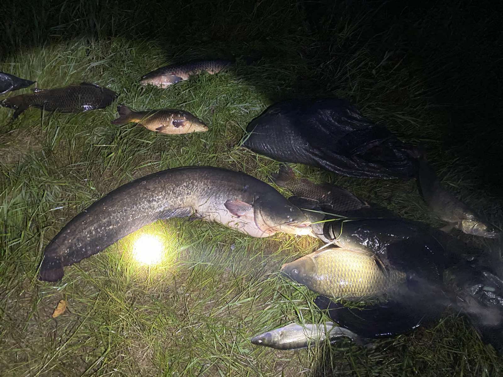 Системен нарушител е заловен при съвместна акция на полицията и