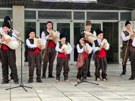 Народни изпълнители