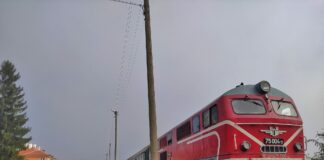 Родопската теснолинейка